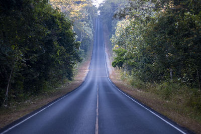 Road amidst trees in forest