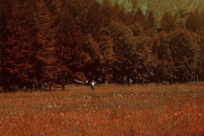 Man standing in a field