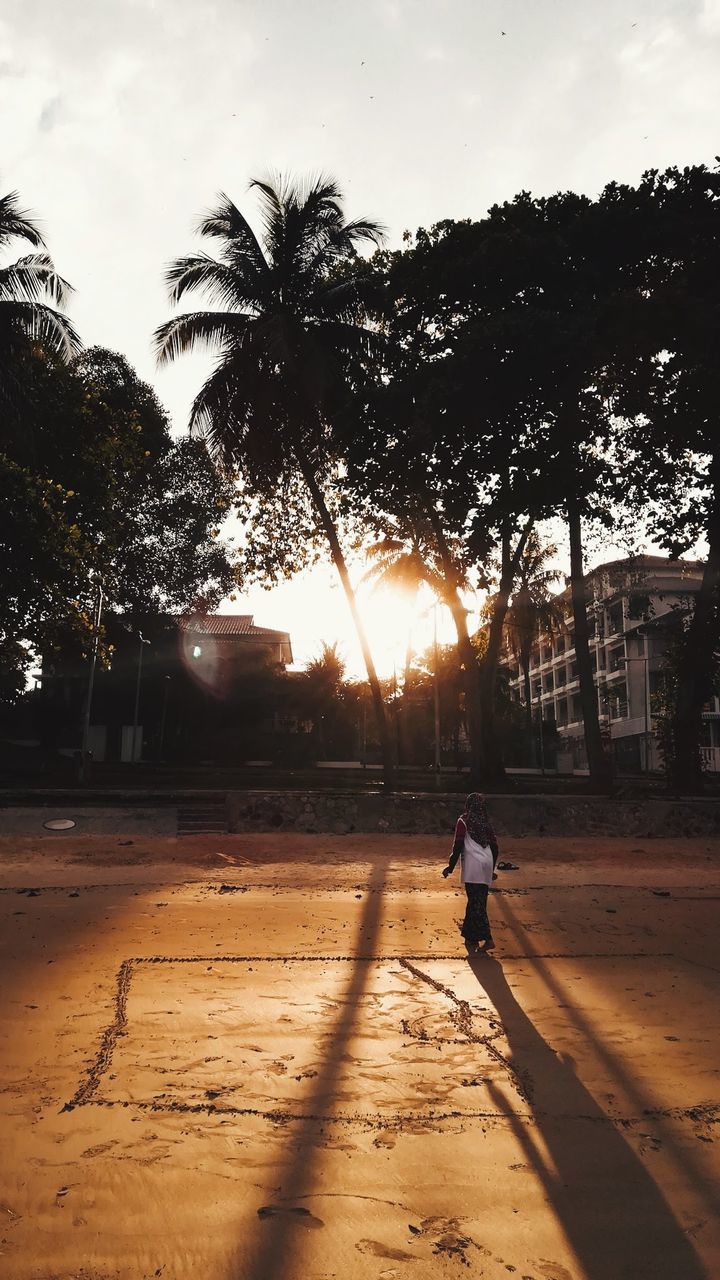 tree, morning, sunlight, nature, sky, full length, plant, one person, men, light, palm tree, shadow, lifestyles, dusk, silhouette, city, sports, walking, outdoors, architecture, leisure activity, street, adult, cloud, child, sun, tropical climate, childhood, beach, backlighting, reflection, land, motion