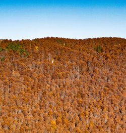 Scenic view of landscape against clear blue sky