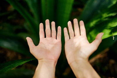 Close-up of cropped hands gesturing against plants