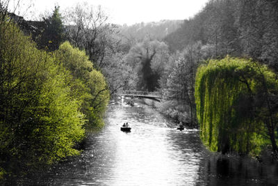 Scenic view of river with trees in background