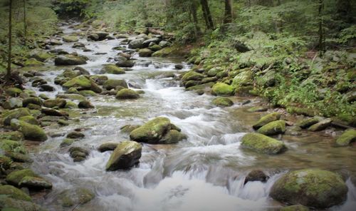 Stream flowing through rocks