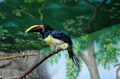 Close-up of bird perching on tree