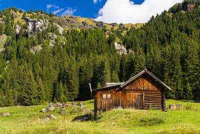 Cottage against trees