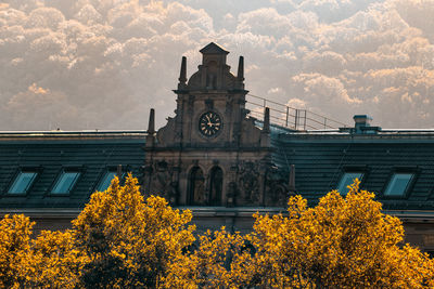 Low angle view of flowering tree by building against sky