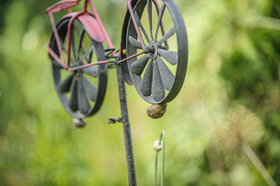 Close-up of bicycle wheel