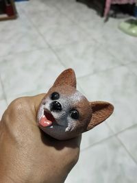 Close-up of person holding dog