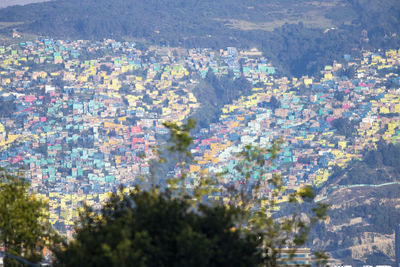 High angle view of trees on landscape