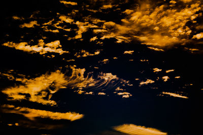 Low angle view of tree against sky