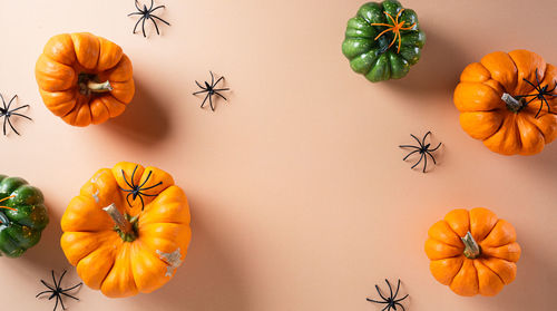 High angle view of pumpkins against orange background