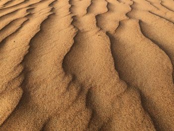 Full frame shot of sand dune