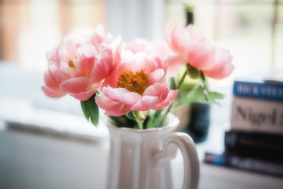 Close-up of pink roses in vase