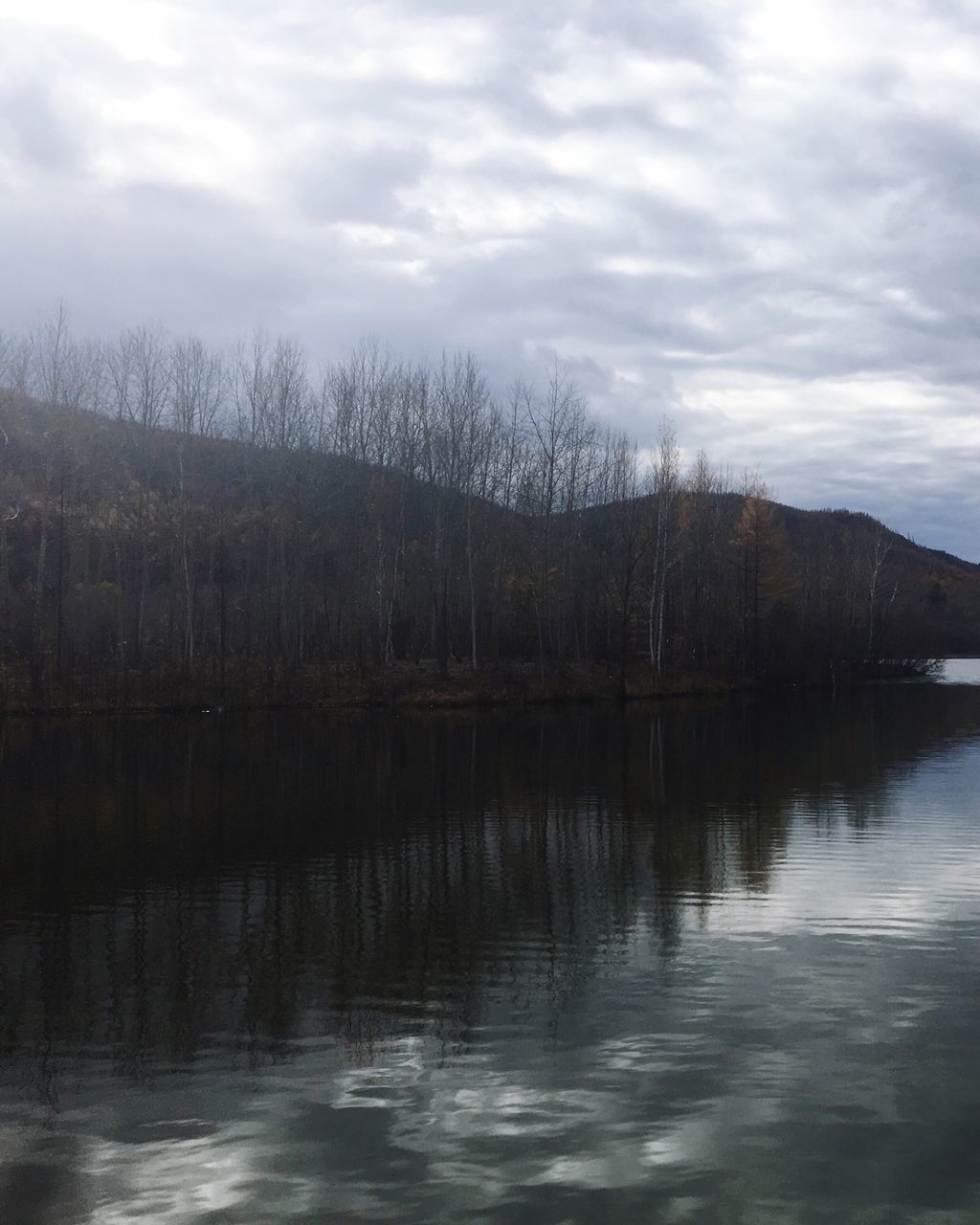 water, reflection, waterfront, tranquil scene, lake, tranquility, sky, scenics, bare tree, cloud - sky, calm, nature, beauty in nature, cloud, day, non-urban scene, majestic, outdoors, mountain, no people, cloudy, remote, riverbank, water surface