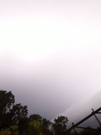 Low angle view of silhouette trees against sky