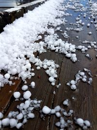 High angle view of snow covered plants on land