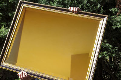 Cropped hand of person holding yellow picture frame by trees