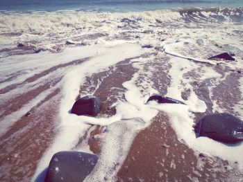 Close-up of horse on beach