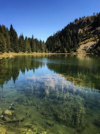 Scenic view of lake in forest against clear sky