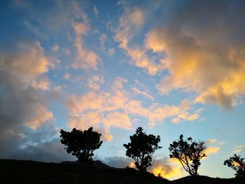 Low angle view of silhouette trees against sky during sunset