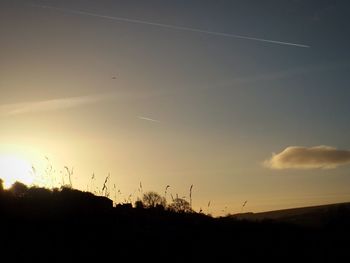 Low angle view of silhouette trees against sky at sunset