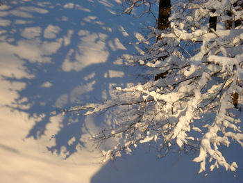 Scenic view of snow covered mountain