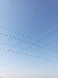 Low angle view of birds in flight