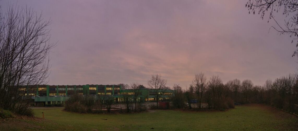 TREES ON FIELD AGAINST CLOUDY SKY