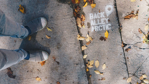Low section of man standing on autumn leaves