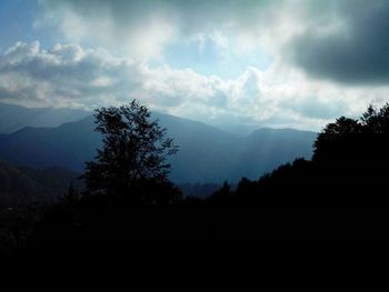 Silhouette trees in forest against storm clouds