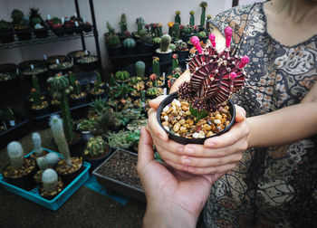 High angle view of woman holding food