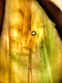 Extreme close up of water