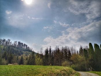Trees on field against sky