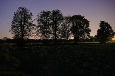 Silhouette trees on field against sky at sunset