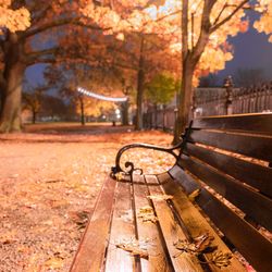 Empty bench in park during autumn