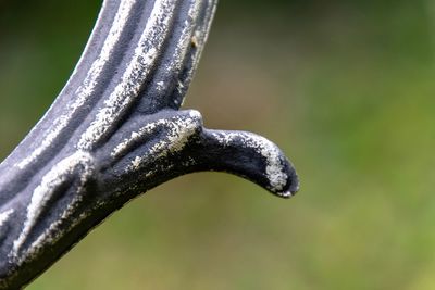 Close-up of rusty metal