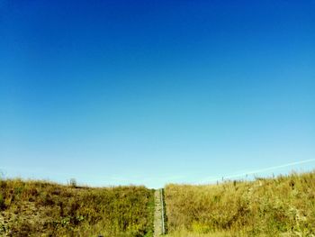 Scenic view of field against clear blue sky