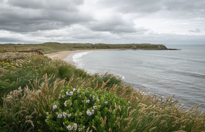 Ocean shore and remote beach during overcast day. shot made in southland region of new zealand