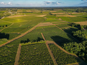 High angle view of agricultural field