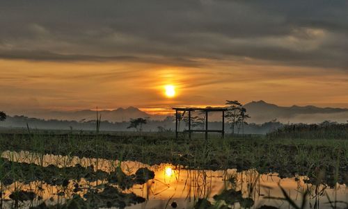 Sunrise over rice fields and mountains