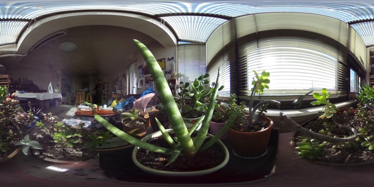 potted plant, indoors, plant, window, chair, architecture, flower pot, built structure, table, growth, flower, house, building exterior, pot plant, no people, day, absence, green color, vase, arrangement