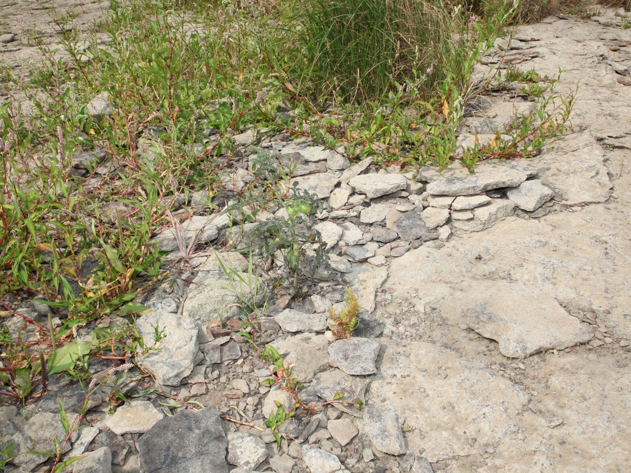 HIGH ANGLE VIEW OF STONE WALL BY STREET