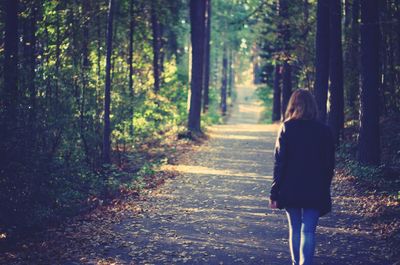 Rear view of man walking in forest