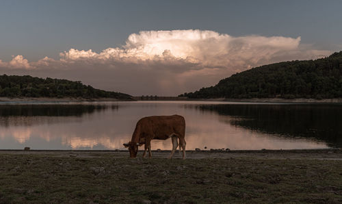 Scenic view of lake against sky during sunset