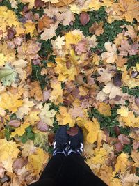 Low section of person standing on autumn leaves