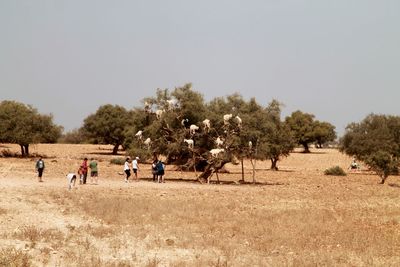 People on landscape