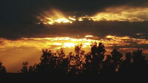 Silhouette trees against dramatic sky during sunset