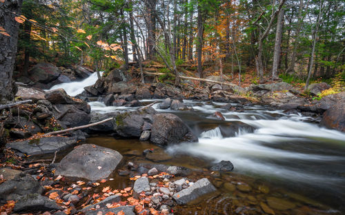 Stream flowing through rocks in forest