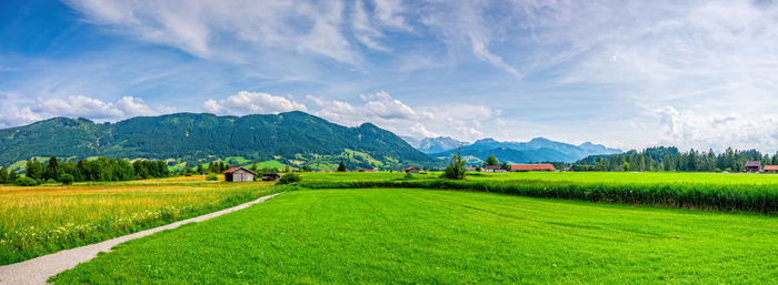 Scenic view of agricultural field against sky