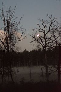 Bare trees on landscape against sky during winter